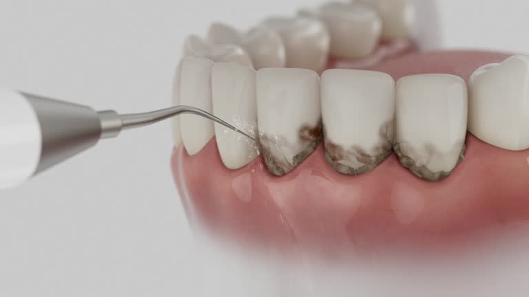 Reliable Dental contractor in Girard, IL by Dentist Open Now